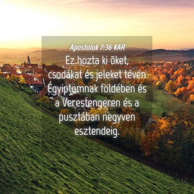 Picture 04 - Apostolok 7:36 KAR - Ez hozta ki õket, csodákat és jeleket tévén - Bible Verse Picture