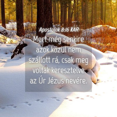 Picture 04 - Apostolok 8:16 KAR - Mert még senkire azok közül nem szállott rá, - Bible Verse Picture