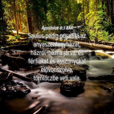 Picture 04 - Apostolok 8:3 KAR - Saulus pedig pusztítá az anyaszentegyházat, - Bible Verse Picture