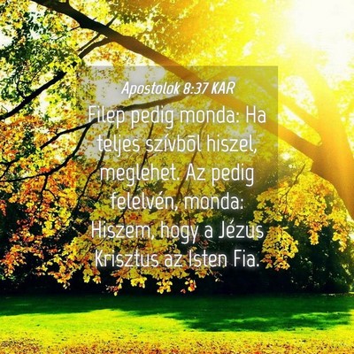 Picture 04 - Apostolok 8:37 KAR - Filep pedig monda: Ha teljes szívbõl hiszel, - Bible Verse Picture