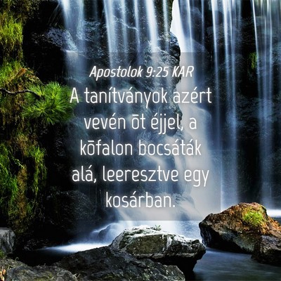Picture 04 - Apostolok 9:25 KAR - A tanítványok azért vevén õt éjjel, a - Bible Verse Picture