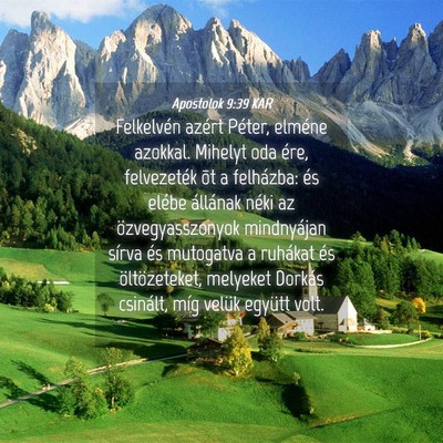 Picture 04 - Apostolok 9:39 KAR - Felkelvén azért Péter, elméne azokkal. - Bible Verse Picture