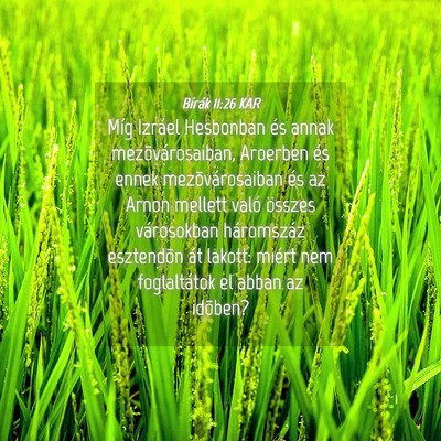 Picture 04 - Bírák 11:26 KAR - Míg Izráel Hesbonban és annak - Bible Verse Picture