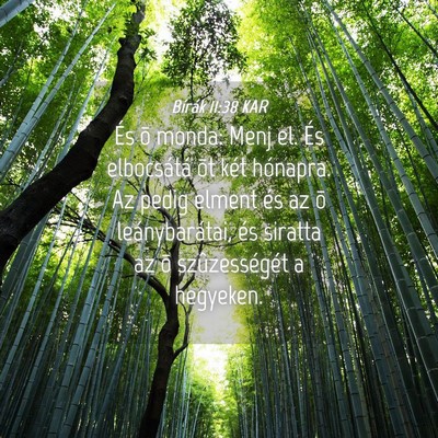 Picture 04 - Bírák 11:38 KAR - És õ monda: Menj el. És elbocsátá õt két - Bible Verse Picture