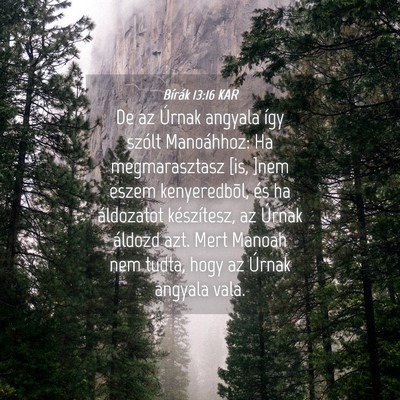 Picture 04 - Bírák 13:16 KAR - De az Úrnak angyala így szólt Manoáhhoz: Ha - Bible Verse Picture