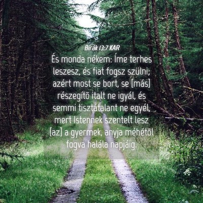 Picture 04 - Bírák 13:7 KAR - És monda nékem: Íme terhes leszesz, és fiat - Bible Verse Picture