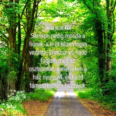 Picture 04 - Bírák 16:26 KAR - Sámson pedig monda a fiúnak, a ki õt - Bible Verse Picture