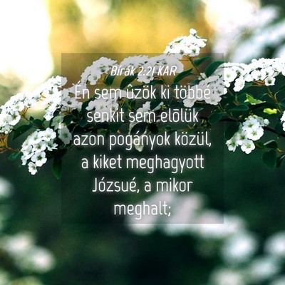 Picture 04 - Bírák 2:21 KAR - Én sem ûzök ki többé senkit sem elõlük - Bible Verse Picture