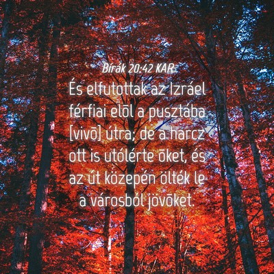 Picture 04 - Bírák 20:42 KAR - És elfutottak az Izráel férfiai elõl a - Bible Verse Picture