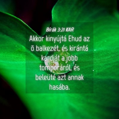 Picture 04 - Bírák 3:21 KAR - Akkor kinyújtá Ehud az õ balkezét, és - Bible Verse Picture