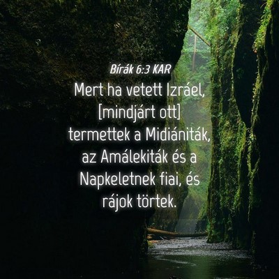 Picture 04 - Bírák 6:3 KAR - Mert ha vetett Izráel, [mindjárt ott] termettek - Bible Verse Picture
