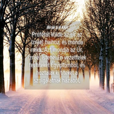 Picture 04 - Bírák 6:8 KAR - Prófétát külde az Úr az Izráel fiaihoz, és - Bible Verse Picture