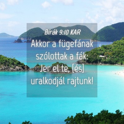 Picture 04 - Bírák 9:10 KAR - Akkor a fügefának szólottak a fák: Jer el te, - Bible Verse Picture