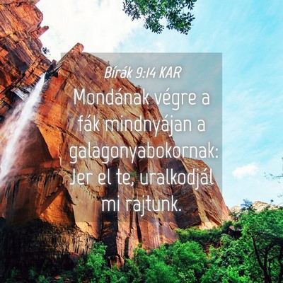 Picture 04 - Bírák 9:14 KAR - Mondának végre a fák mindnyájan a - Bible Verse Picture