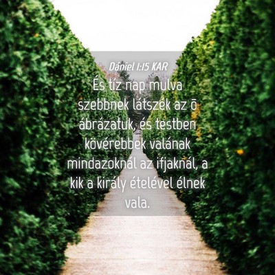Picture 04 - Dániel 1:15 KAR - És tíz nap mulva szebbnek látszék az õ - Bible Verse Picture