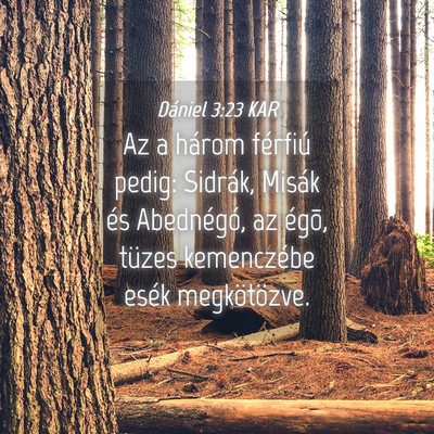 Picture 04 - Dániel 3:23 KAR - Az a három férfiú pedig: Sidrák, Misák és - Bible Verse Picture