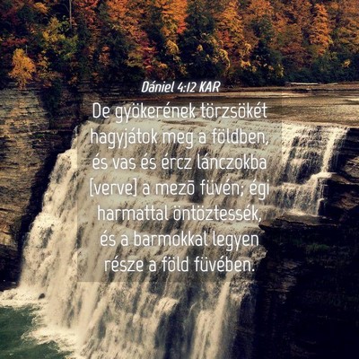 Picture 04 - Dániel 4:12 KAR - De gyökerének törzsökét hagyjátok meg a - Bible Verse Picture