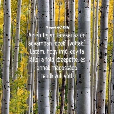 Picture 04 - Dániel 4:7 KAR - Az én fejem látásai az én ágyamban [ezek] - Bible Verse Picture