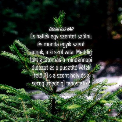 Picture 04 - Dániel 8:13 KAR - És hallék egy szentet szólni; és monda egyik - Bible Verse Picture