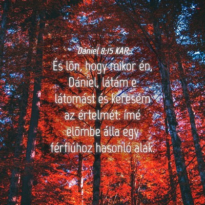Picture 04 - Dániel 8:15 KAR - És lõn, hogy mikor én, Dániel, látám e - Bible Verse Picture