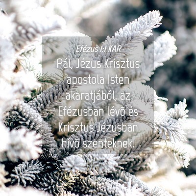 Picture 04 - Efézus 1:1 KAR - Pál, Jézus Krisztus apostola Isten - Bible Verse Picture