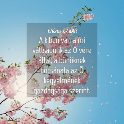 Picture 04 - Efézus 1:7 KAR - A kiben van a mi váltságunk az Õ vére által, - Bible Verse Picture