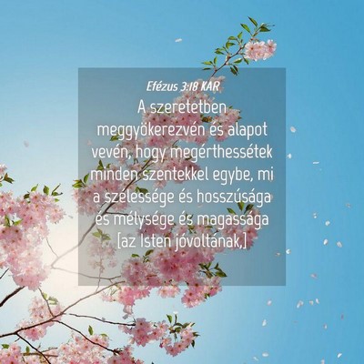 Picture 04 - Efézus 3:18 KAR - A szeretetben meggyökerezvén és alapot vevén, - Bible Verse Picture