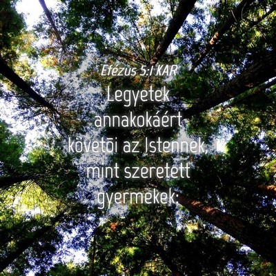 Picture 04 - Efézus 5:1 KAR - Legyetek annakokáért követõi az Istennek, - Bible Verse Picture