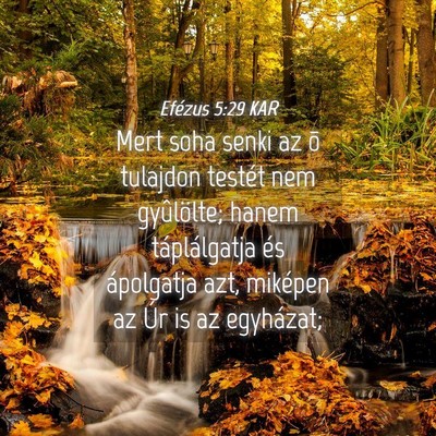 Picture 04 - Efézus 5:29 KAR - Mert soha senki az õ tulajdon testét nem - Bible Verse Picture