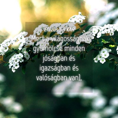 Picture 04 - Efézus 5:9 KAR - (Mert a világosságnak gyümölcse minden - Bible Verse Picture