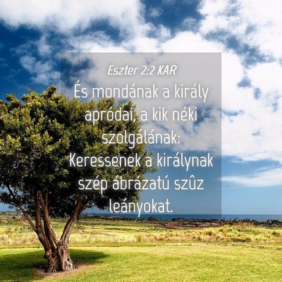 Picture 04 - Eszter 2:2 KAR - És mondának a király apródai, a kik néki - Bible Verse Picture