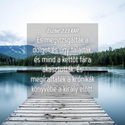 Picture 04 - Eszter 2:23 KAR - És megvizsgálták a dolgot és úgy találták, - Bible Verse Picture