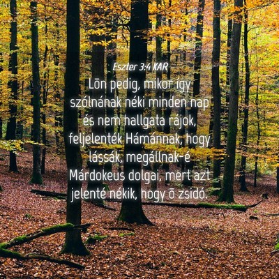 Picture 04 - Eszter 3:4 KAR - Lõn pedig, mikor így szólnának néki minden - Bible Verse Picture