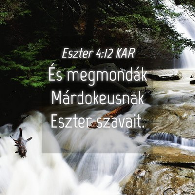 Picture 04 - Eszter 4:12 KAR - És megmondák Márdokeusnak Eszter - Bible Verse Picture