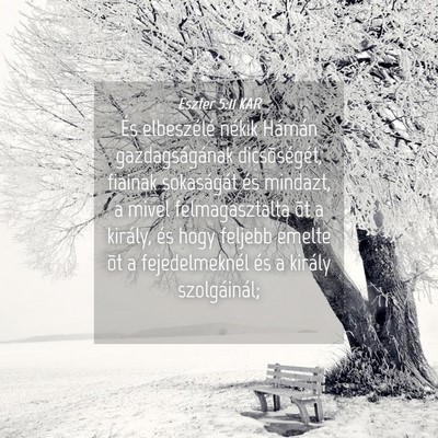 Picture 04 - Eszter 5:11 KAR - És elbeszélé nékik Hámán gazdagságának - Bible Verse Picture