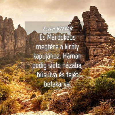 Picture 04 - Eszter 6:12 KAR - És Márdokeus megtére a király kapujához. - Bible Verse Picture