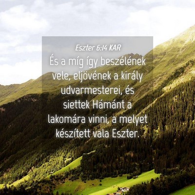 Picture 04 - Eszter 6:14 KAR - És a míg így beszélének vele, eljövének a - Bible Verse Picture