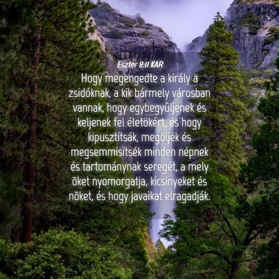 Picture 04 - Eszter 8:11 KAR - Hogy megengedte a király a zsidóknak, a kik - Bible Verse Picture