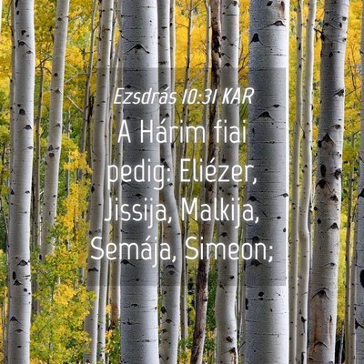 Picture 04 - Ezsdrás 10:31 KAR - A Hárim fiai pedig: Eliézer, Jissija, Malkija, - Bible Verse Picture