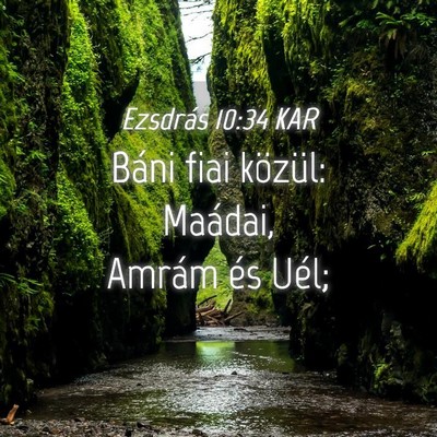 Picture 04 - Ezsdrás 10:34 KAR - Báni fiai közül: Maádai, Amrám és - Bible Verse Picture