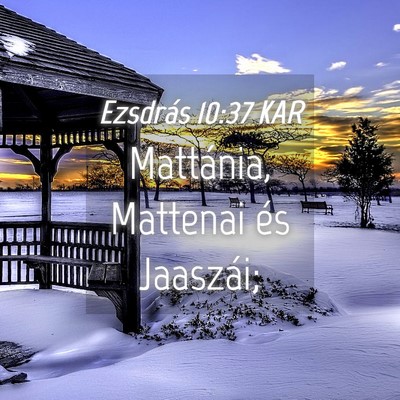 Picture 04 - Ezsdrás 10:37 KAR - Mattánia, Mattenai és - Bible Verse Picture
