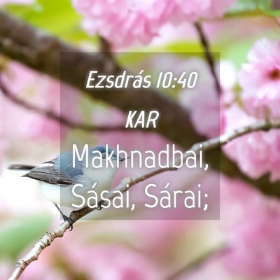 Picture 04 - Ezsdrás 10:40 KAR - Makhnadbai, Sásai, - Bible Verse Picture