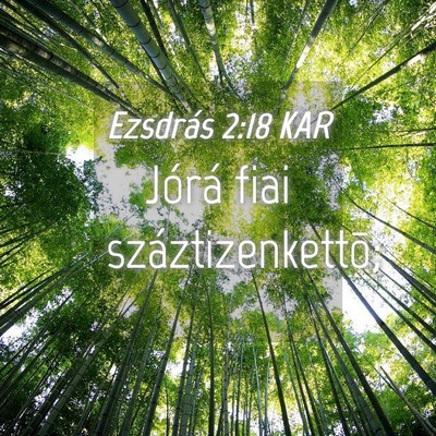 Picture 04 - Ezsdrás 2:18 KAR - Jórá fiai - Bible Verse Picture