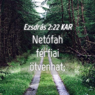 Picture 04 - Ezsdrás 2:22 KAR - Netófah férfiai - Bible Verse Picture