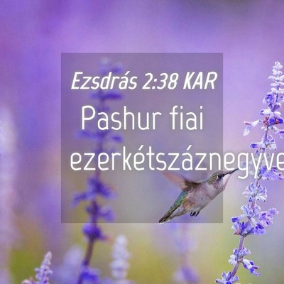 Picture 04 - Ezsdrás 2:38 KAR - Pashur fiai - Bible Verse Picture