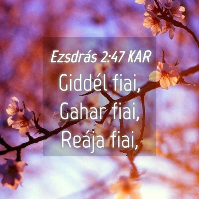 Picture 04 - Ezsdrás 2:47 KAR - Giddél fiai, Gahar fiai, Reája - Bible Verse Picture