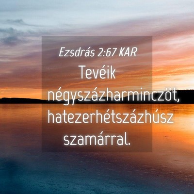 Picture 04 - Ezsdrás 2:67 KAR - Tevéik négyszázharminczöt, - Bible Verse Picture