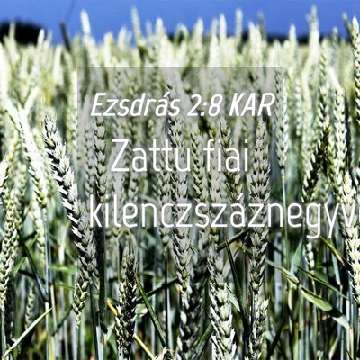 Picture 04 - Ezsdrás 2:8 KAR - Zattu fiai - Bible Verse Picture