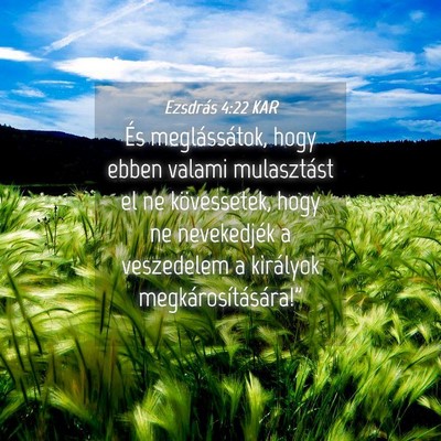 Picture 04 - Ezsdrás 4:22 KAR - És meglássátok, hogy ebben valami mulasztást - Bible Verse Picture