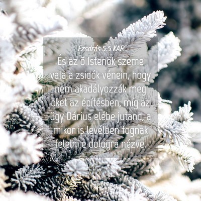 Picture 04 - Ezsdrás 5:5 KAR - És az õ Istenök szeme vala a zsidók vénein, - Bible Verse Picture